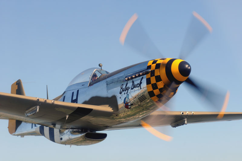 p51_f_01