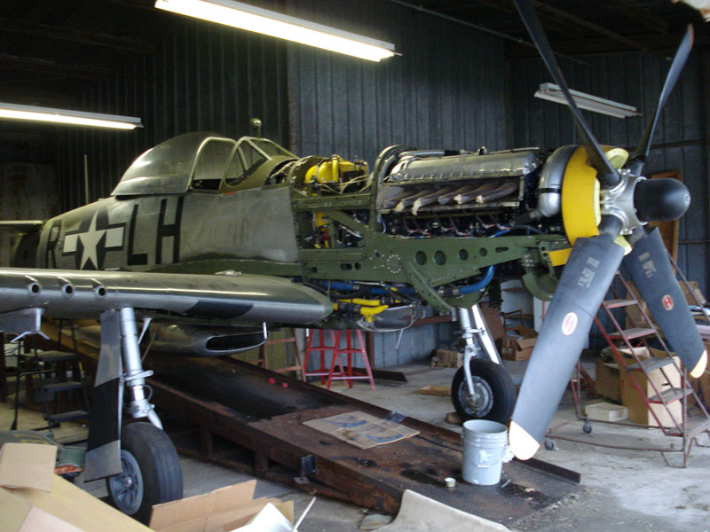 p51_r_01